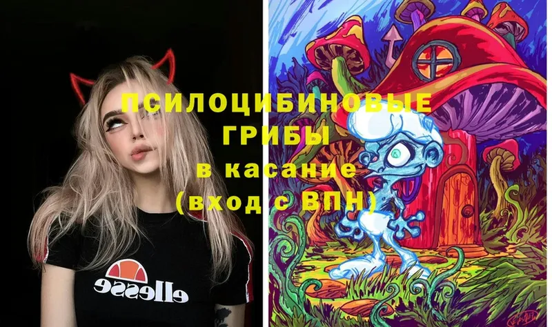 Псилоцибиновые грибы Cubensis  omg зеркало  Южно-Сахалинск 